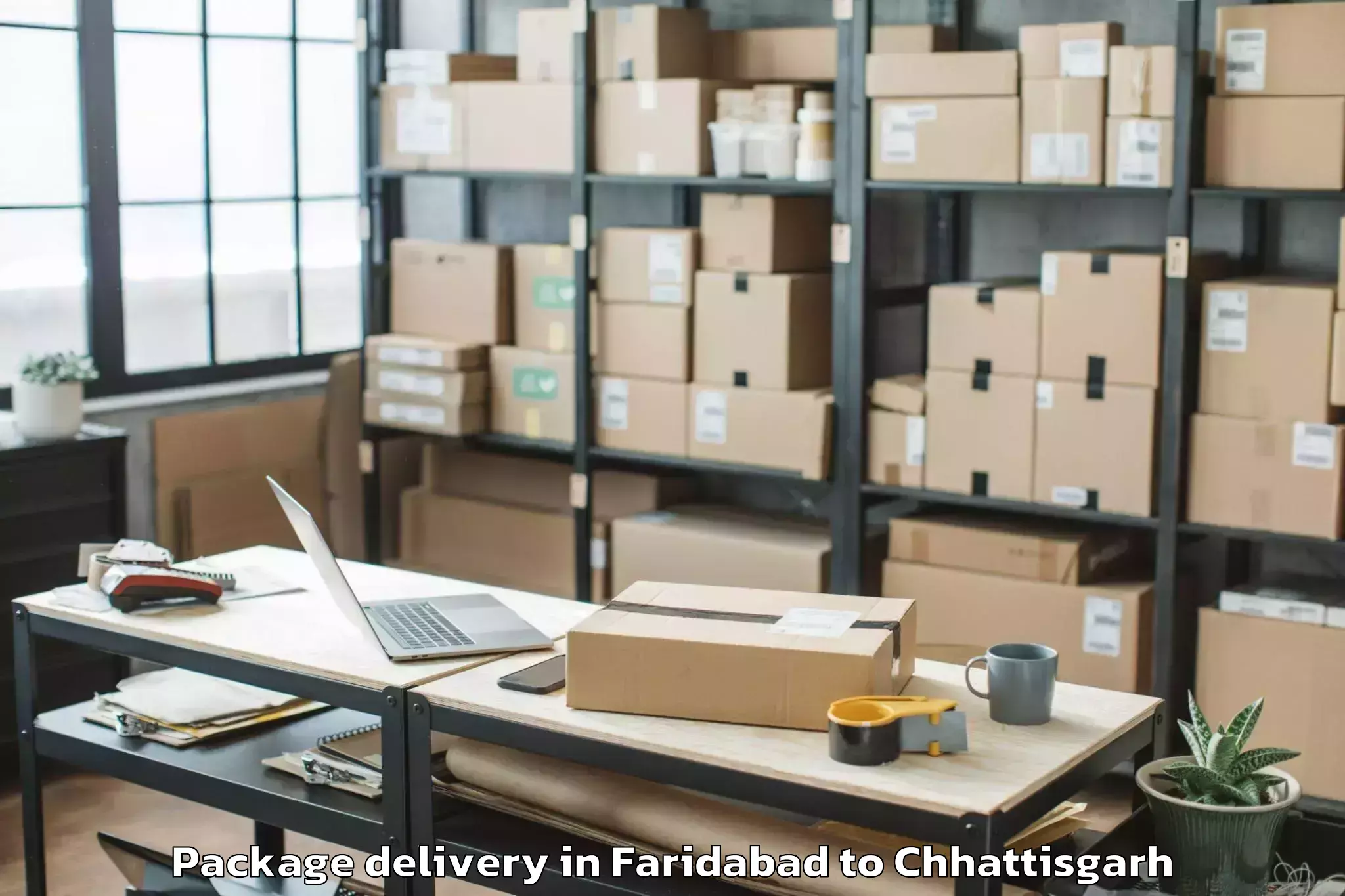 Top Faridabad to Rajim Package Delivery Available